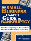 Small Business Owner's Guide to Bankruptcy By Wendell Schollander